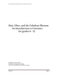 Hair, Fiber, and the Fabulous Phenom - Materials Science Institute