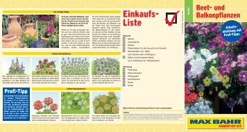 Beet und Balkonpflanzen - Max Bahr Pflanzen-Infothek