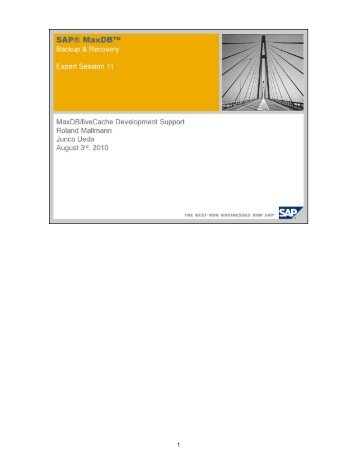 Script (.pdf file, 8 MB) - SAP MaxDB
