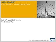 Script (.pdf file, 1 MB) - SAP MaxDB