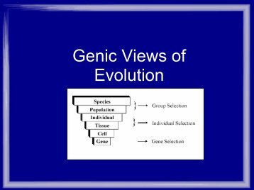 Genetic and Organismic Views of Evolution