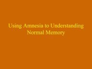 Decomposing Memory: Memory Systems versus Components of ...