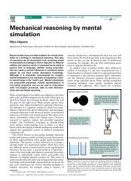 Mechanical reasoning by mental simulation - Research - University ...