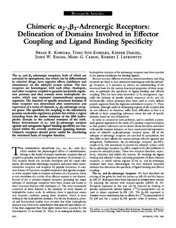 Chimeric a2-, frz-Adrenergic Receptors - Stanford University School ...