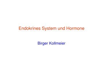 Endokrines System und Hormone