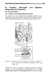 III. Funktion, Störungen und objektive Diagnostik des Innenohrs