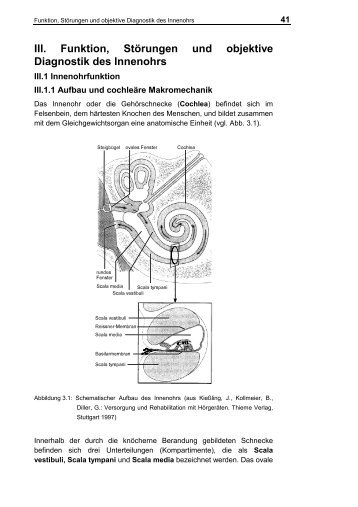 III. Funktion, Störungen und objektive Diagnostik des Innenohrs