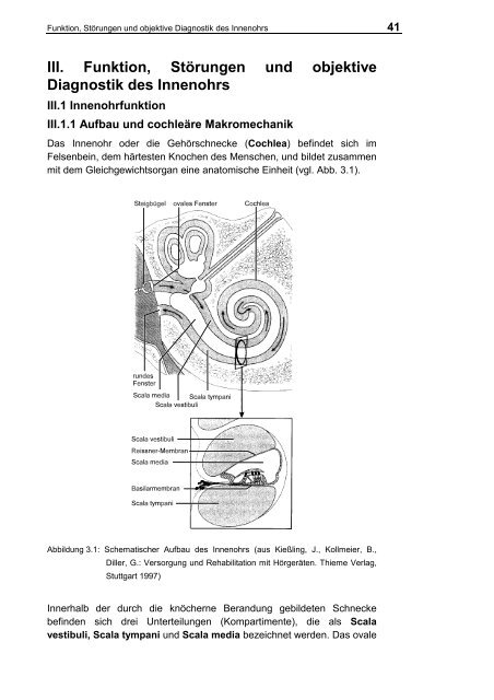 III. Funktion, Störungen und objektive Diagnostik des Innenohrs