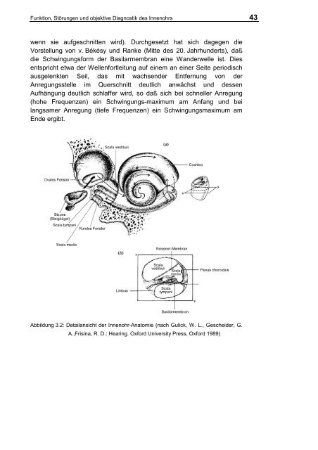 III. Funktion, Störungen und objektive Diagnostik des Innenohrs