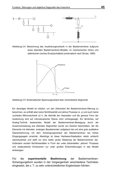 III. Funktion, Störungen und objektive Diagnostik des Innenohrs