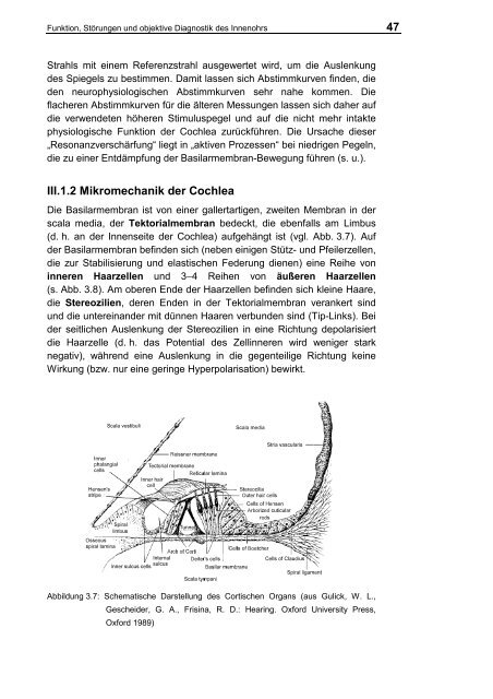 III. Funktion, Störungen und objektive Diagnostik des Innenohrs