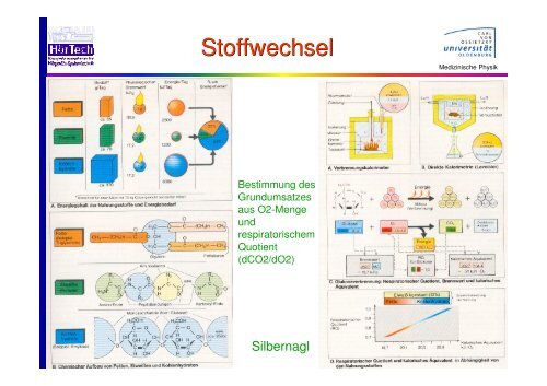 Verdauungssystem