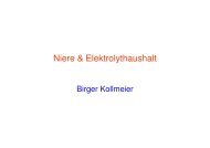 Niere & Elektrolythaushalt