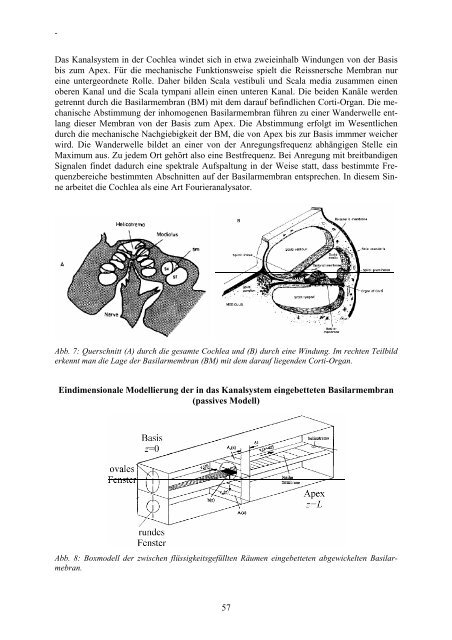 Deutsche Gesellschaft für Audiologie - Universität Oldenburg