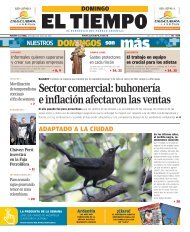 Sector comercial: buhonería e inflación afectaron las ... - El Tiempo