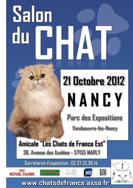 Speciale Chatons 3/6 mois - Association les Chats de France