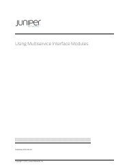 Using Multiservice Interface Modules - Juniper Networks