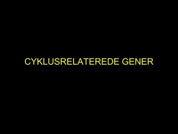 CYKLUSRELATEREDE GENER