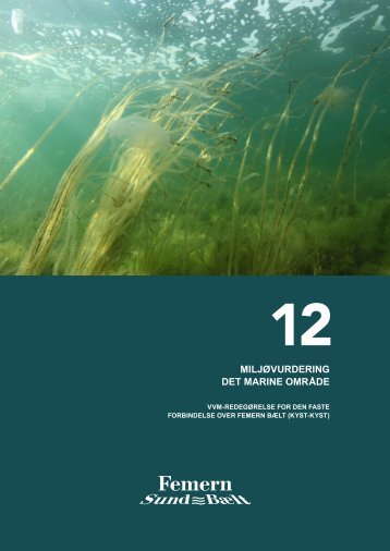 12 Miljøvurdering det marine område
