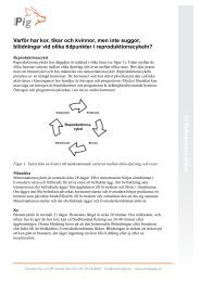 Varför har kor, tikar och kvinnor, men inte suggor ... - Svenska Pig