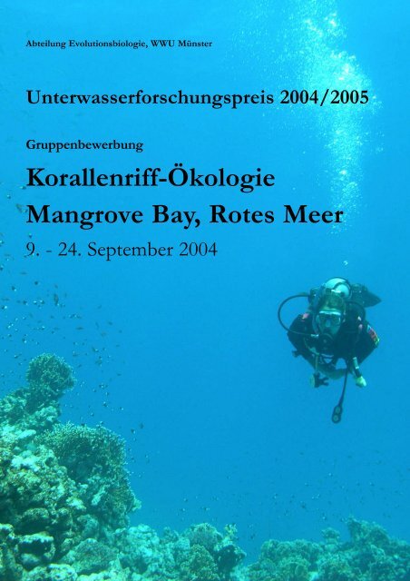 Red Sea Bewerbung .qxd - Unterwasser