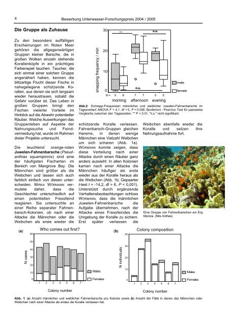 Red Sea Bewerbung .qxd - Unterwasser