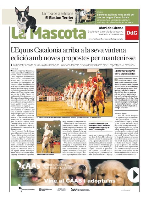 L'Equus Catalonia arriba a la seva vintena edició ... - Diari de Girona
