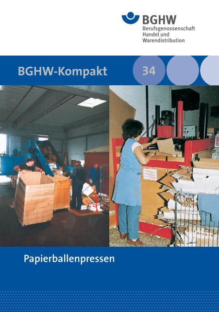 BGHW-Kompakt 34 - Medienangebot der Sparte Einzelhandel