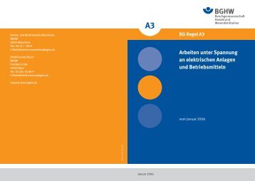 Arbeiten unter Spannung an elektrischen Anlagen und Betriebsmitteln