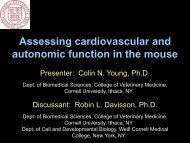 Assessing cardiovascular and autonomic function in the mouse