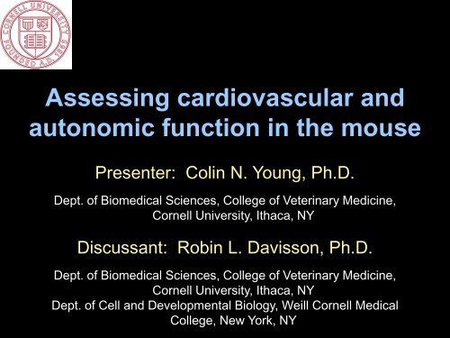 Assessing cardiovascular and autonomic function in the mouse