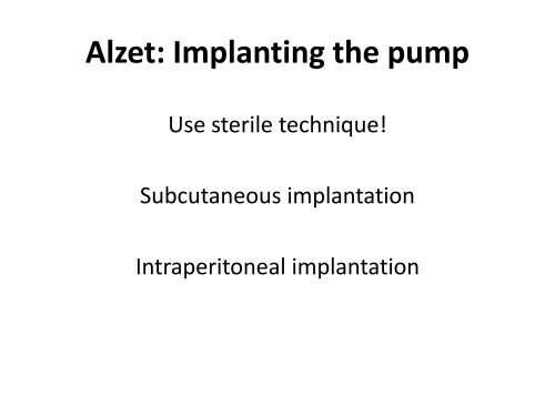 Implantable infusion pumps for chronic rodent studies