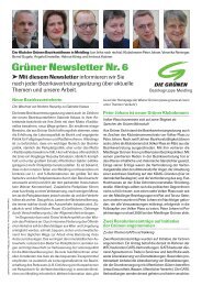 Grüner Newsletter Nr. 6 - Die Grünen Meidling