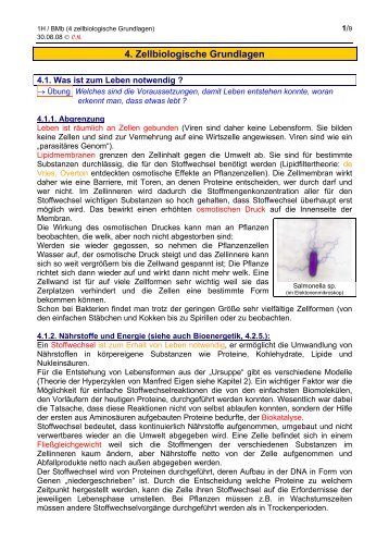 Zellbiologische Grundlagen - member