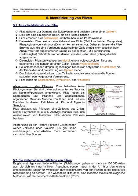 5.Charakterisierung von Pilzen - member