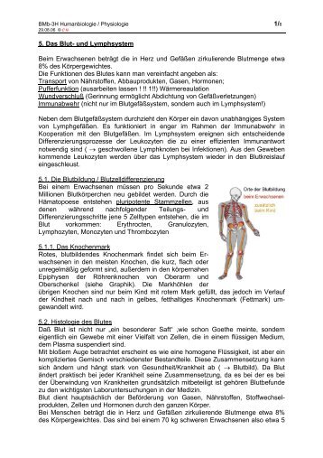 1/8 5. Das Blut- und Lymphsystem Beim Erwachsenen ... - member