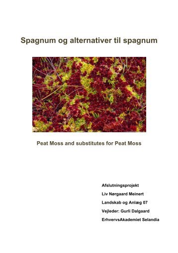 Spagnum og alternativer til spagnum - smeinert.dk