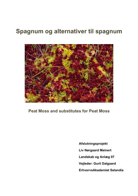 Spagnum og alternativer til spagnum - smeinert.dk