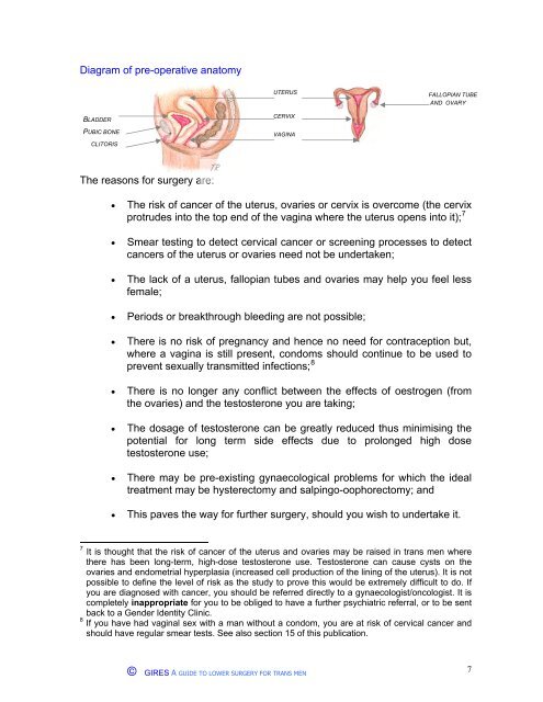 A guide to lower surgery for trans men - Gender Identity Research ...