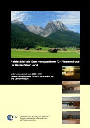 Feldstädel als Sommerquartiere für Fledermäuse Endversion