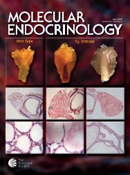 Front Matter (PDF) - Molecular Endocrinology