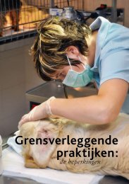 Lees hier het artikel - RHP