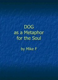 DOG as a Metaphor for the Soul by Mike F