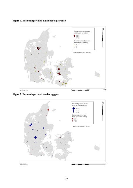 Newcastle disease beredskabsplan 2008 - Fødevarestyrelsen