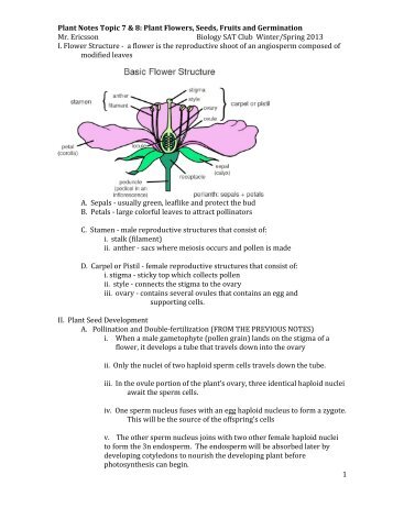 Mr. E's Plant Seeds, Fruits, Seed Dispersal and Germination Notes