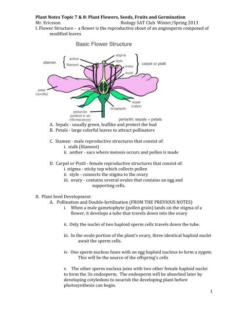 Mr. E's Plant Seeds, Fruits, Seed Dispersal And Germination Notes