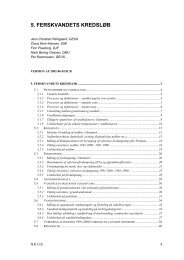 5. FERSKVANDETS KREDSLØB - National Vandressource Model