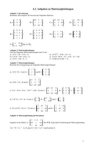 6.3 Aufgaben zu Matrizengleichungen.pdf - UDS