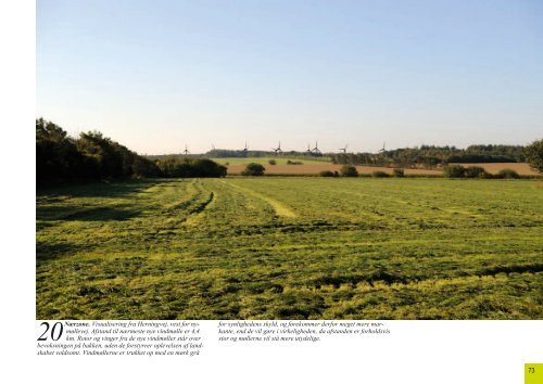 VVM redegørelse.pdf - Ringkøbing-Skjern Kommune