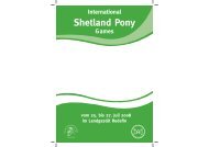 Shetland Pony - iFokus